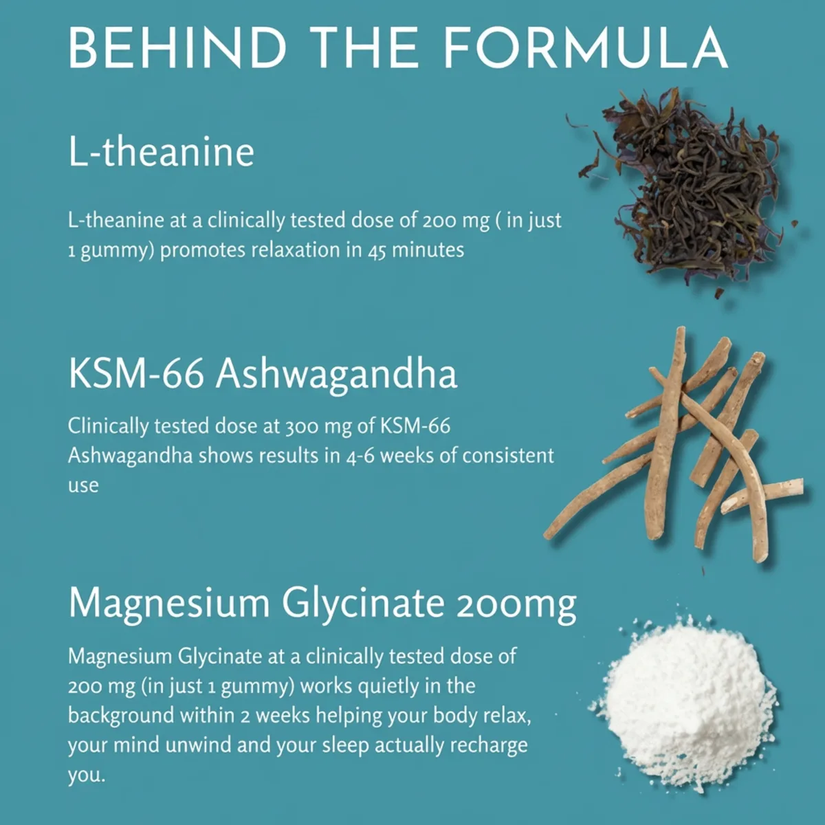 MYNDFUL Calm + Focus Gummies — product 4